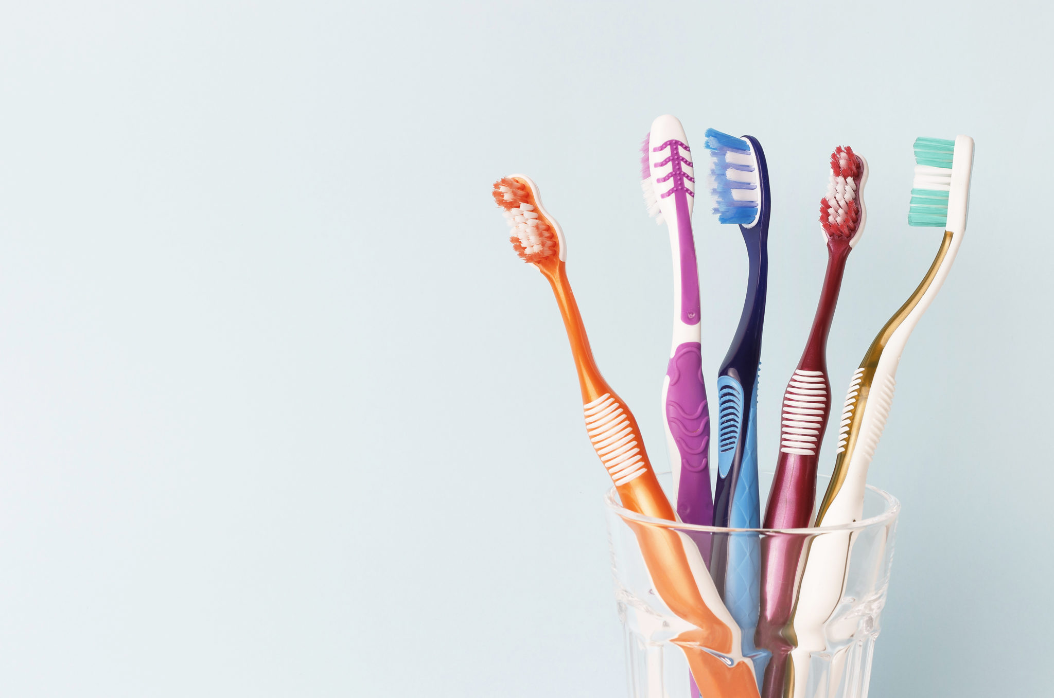 From Trees to Plastic The Evolution of the Toothbrush
