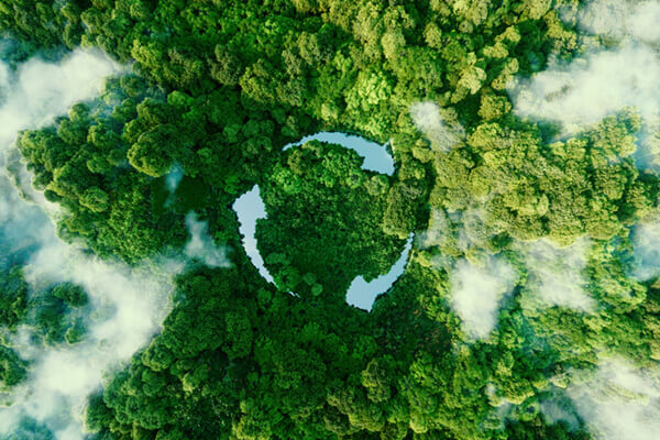 A water-filled recycling symbol in the middle of a lush, green forest