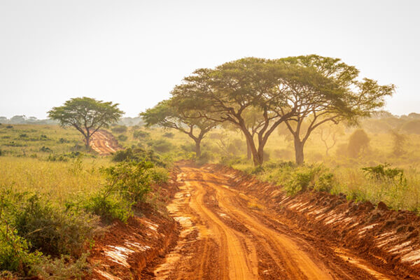 Dirt road in Africa