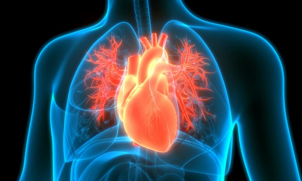 researchers-have-developed-a-new-type-of-ghost-heart